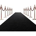 Shanno Carpet Non Woven Wedding Carpets, Floor Carpet for Marriage Hall, Events, Exhibitions,Functions and Gallaries Size(2 x 10 Feet)