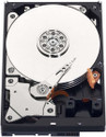 sharma infosys sharmahdd1 500 GB Desktop silvar SATA Internal Hard Disk Drive (HDD) (st00000123)