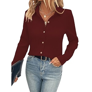 Shasmi Womens Shirt Long Sleeve Slim