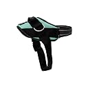 ShawnCo Essential Dog Harness, No-Pull Pet Vest (Seafoam,S)