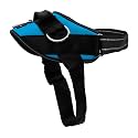 ShawnCo Essential Dog Harness, No-Pull Pet Vest (Oceanic Blue,XS)