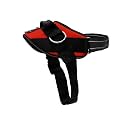 ShawnCo Essential Dog Harness, No-Pull Pet Vest (Mustang Red,XS)