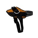 ShawnCo Essential Dog Harness, No-Pull Pet Vest (Sunset Orange,L)