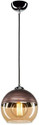 SHBK Pendant Wall Lamp Without Bulb