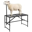 Sheep Stand & Goat Stand for Shearing, 600 lbs with Headpiece