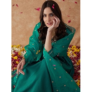 SheWill Womens Vichitra Zari Sequence Embroidery Alia