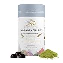 Shilajit and Moringa Gummies Elderberry Flavor – Boost Energy, Focus & Vitality – 75% Fulvic Acid – 100% Vegan, Gluten-Free, No Added Sugar – 60 Gummies