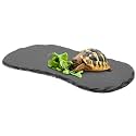 Shinylin 1 Pack Reptile Basking Platform Tortoise Slate Rock, 11'' X 5.5''