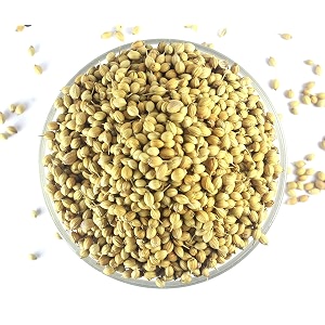 shirish masala organic coriander seeds whole-1 kg  dhaniya seeds  sabut dhania  whole dhania seeds  dhania whole