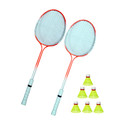 Shivgan Double Power Badminton Racquet Set Of 2 Piece With 6 Piece Nylon Shuttle Badminton Kit Badminton Kit