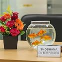 Crystal Clear Glass Fish or Terrarium Round Bowl (10 inches)