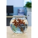 Crystal Clear Glass Fish or Terrarium Round Bowl (4 inches)