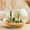 Glass Fish Bowl Aquarium, Decorative Bowl Home Aquarium for Fish (Pot 12 inch Large) (Transparent, Extra Large)