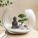 Glass Fish Bowl Aquarium, Decorative Bowl Home Aquarium for Fish (Pot 10 inch Large) (Transparent, Large)