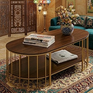 Shoppee Modern 2-Tier Center Table with Marble