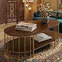 Shoppee Modern 2-Tier Center Table with Marble
