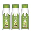Shree Ayu-Veda Satreetha Herbal Shampoo for Strong Hair | Controlling Hair Fall | Repairing Damaged Hair | Suitable for All Hair Types (100ml) | 3 Pcs.
