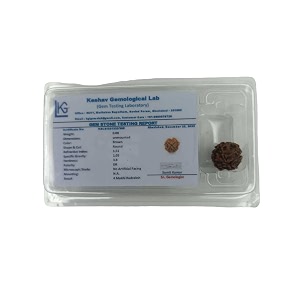 4 mukhi rudraksha bead four faced rudraksha 100 natural by lab certified