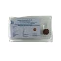 4 Mukhi Rudraksha Bead Four Faced Rudraksha 100% Natural by Lab Certified