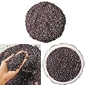 Natural Healing Crystal Chips for strength, passion, and protection | Garnet Chips for Reiki, Meditation &amp; Vastu Chakra | Decorative Crystals for Home Decoration &amp; Table Decor (500 Gm)
