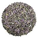 Shubhanajli Crystal Stichtite Chips Stone for Vastu Reiki Healing Stichtite Tumbled Chips Gemstone Pebble for Aquarium Fish Tank Garden Home Décor 500 Gm