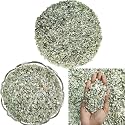 Shubhanjali Crystal Green Aventurine Chips Stone for Vastu Correction Natural Green Aventurine Crystal Chips for Aquarium Home Décor Garden Table Decor Pebble Reiki 1 Kg