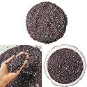 Natural Healing Crystal Chips for strength, passion, and protection | Garnet Chips for Reiki, Meditation &amp; Vastu Chakra | Decorative Crystals for Home Decoration &amp; Table Decor (50 Gm)