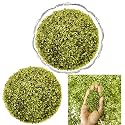 Peridot Chips 250 Gm | Natural Healing Crystals for physical energy, emotional balance &amp; abundance | Crystal stones for Reiki, Meditation &amp; Vastu | Ideal for DIY Jewellery Making &amp; Home Decoration