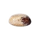 Shubhanjali Reiki Healing Picture Jasper Crystal Single Tumble Stone Raw Picture Jasper Tumble Gemstone Pebble for Aquarium Home Decorative Garden Table Vastu Correction 1 Pc Yellow