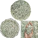 Shubhanjali Reiki Healing Green Aventurine Crystal Chips for Vastu 500 Gm | Natural Gemstone Chips Stone for Home Decor Items Flower Pot Aquarium Fish Tank Jewellery Making