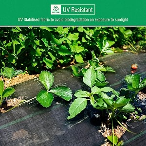 siddhi premium garden weed control barrier sheet mat 060 meter 2 feet x 100 meter landscape fabric 110 gsm heavy duty weed block gardening mat for gardens pack of 1