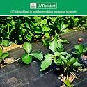 SIDDHI Premium Garden Weed Control Barrier Sheet Mat 0.60 Meter (2 Feet) x 100 Meter, Landscape Fabric 110 GSM Heavy Duty Weed Block Gardening Mat for Gardens Pack of 1