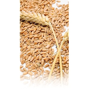 siddhi super wheat loose sabut gehugehoogenhu 5 kg