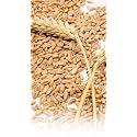 Siddhi Super Wheat Loose (Sabut Gehu/Gehoo/Genhu) (5 KG)