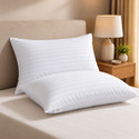 Signature Microfibre Sleeping Pillow Pack of 2
