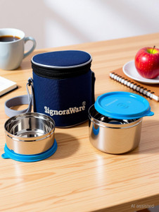 Signoraware Executive small stainless steel lunch box