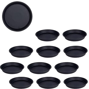 SIGNY Round Bottom TrayPlate Saucer Suitable for
