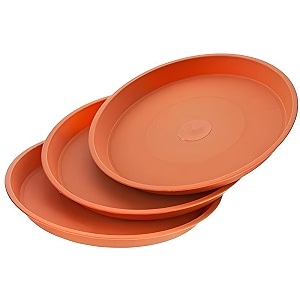 SIGNY Round Bottom TrayPlate Saucer Suitable for