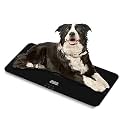 SIKE Digital Dog Veterinary Scale, 220lbs High Precision Pet Weighing Scale