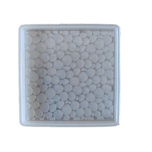 silicon mold