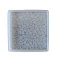Silicon Mold