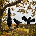 SiliFine 3 Pack Halloween Large Hanging Dead Crows Decoy Decorations