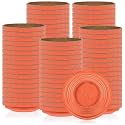 Silipull Biodegradable Clay Pigeons, Standard 108mm