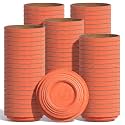 Silipull Biodegradable Clay Pigeons, Standard 108mm
