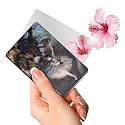 Glass Compact Card Mirror,Unbreakable Acrylic Makeup Mirror,Vanity Mirror Small For Wallet Case,Travel Purse,Handheld Compact Pocket Mirror_Edgar Degas_The Star 113,Multicolor