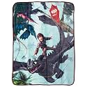 Silver Buffalo How to Train Your Dragon, Fleece Throw Blanket, 45x60in