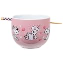 Silver Buffalo Peanuts Snoopy Puppy Love, Ramen Bowl with Chopsticks, 20oz
