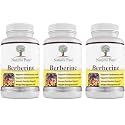 Simply Natures Pure Premium Berberine HCl 500mg - 120 Capsules - Cardiovascular Gastrointestinal Immune Support - Chromium Cinnamon (Pack of 3)