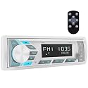 Single Din Marine Stereo Receiver: in Dash Bluetooth Boat Radio - Digital LCD Display Push to Talk Assistant AM FM MP3 SD Aux-in USB Charging 4.2-Channel Audio Output for Marine Vehicle Watercraft