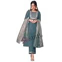 SIRIL Women39s Cotton Blend Sequence Embroidery Straight